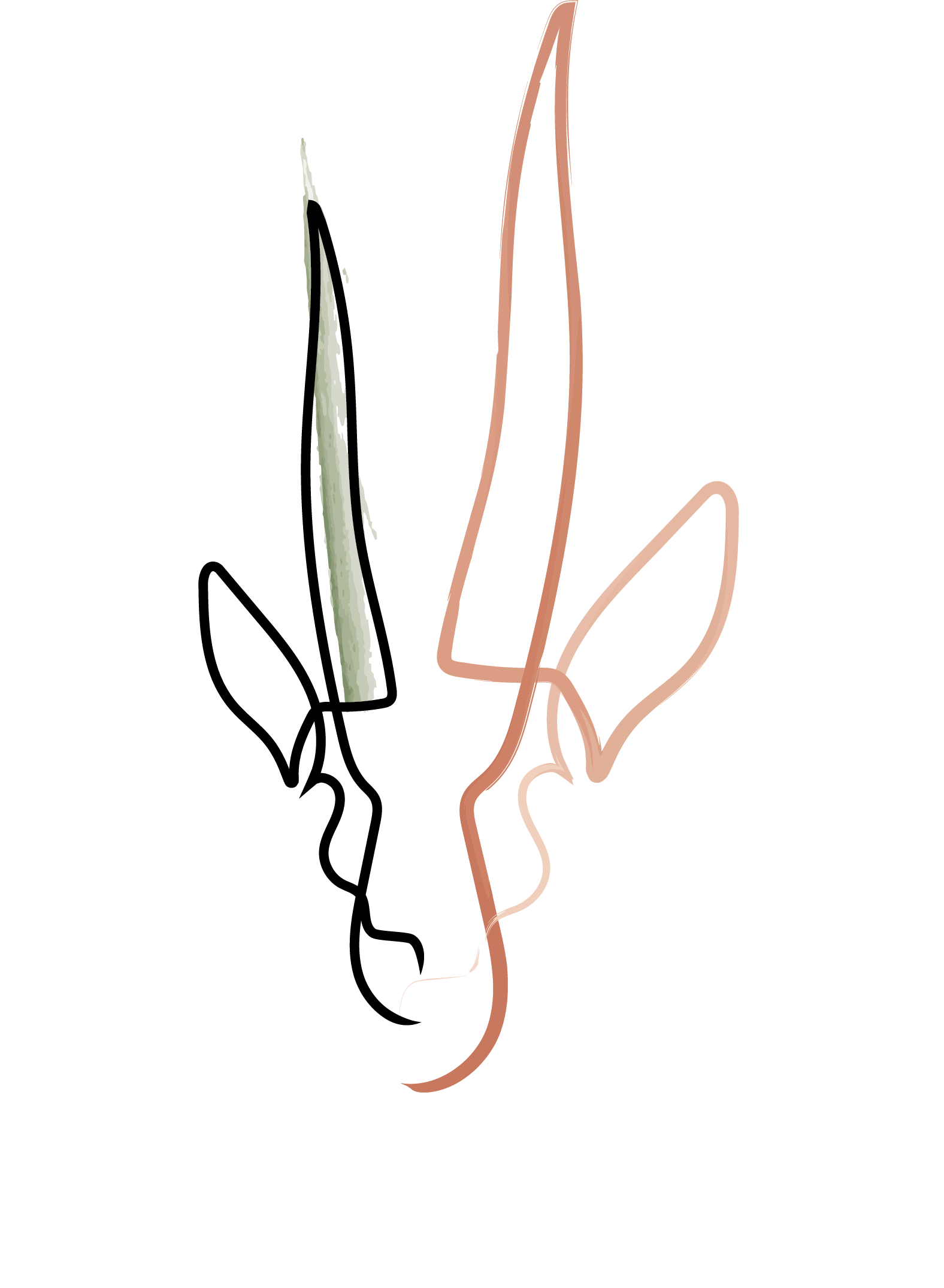 Reem Art Gallery, Dubai